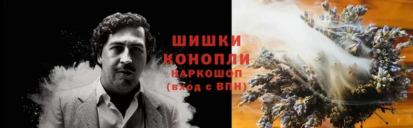 круглые Пересвет